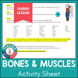 Basic Bones and Muscles Assignment